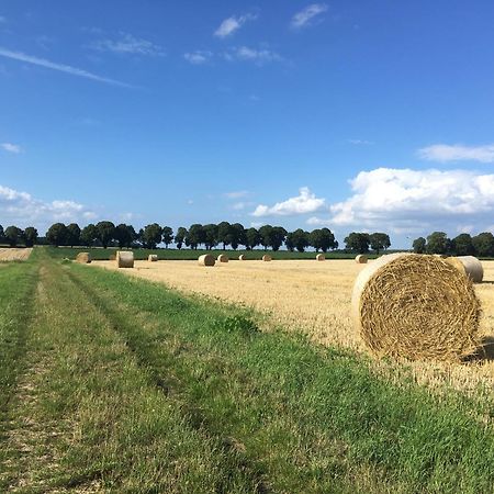 Ferienapartment Kastanje Gross Ippener Exteriör bild
