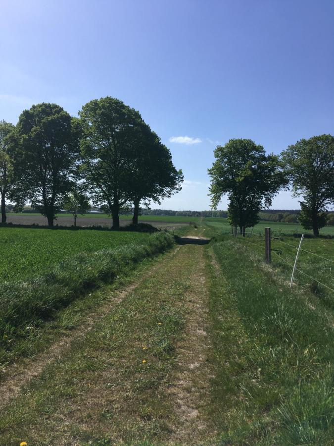 Ferienapartment Kastanje Gross Ippener Exteriör bild