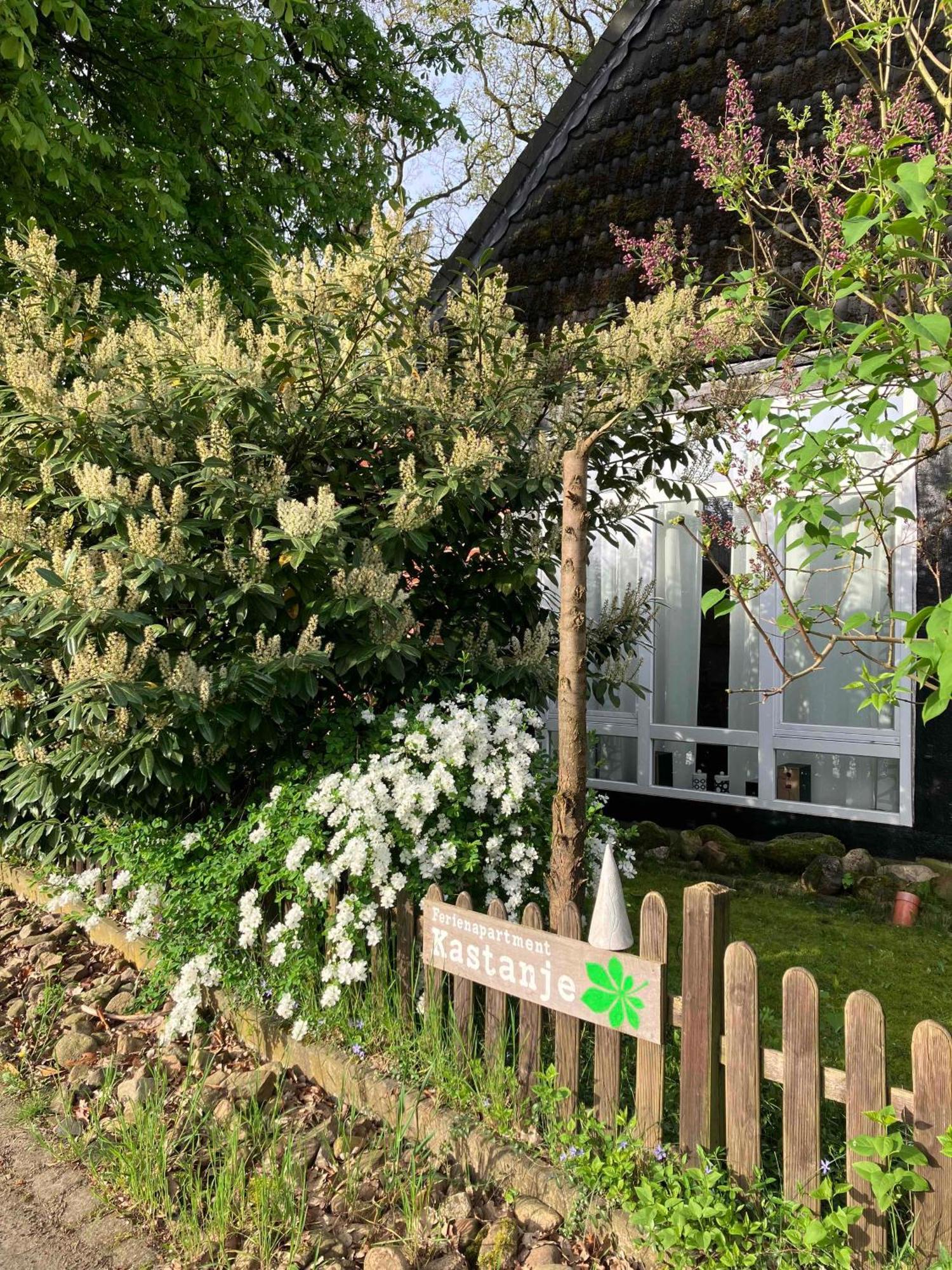 Ferienapartment Kastanje Gross Ippener Exteriör bild